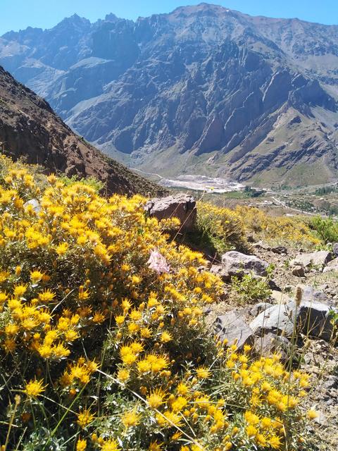 Cajón del Maipo, photo 2 of 19