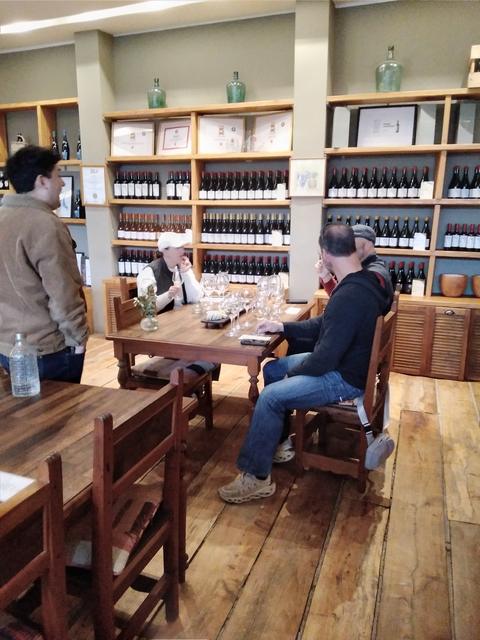 Wine valley tours, photo 12 of 16